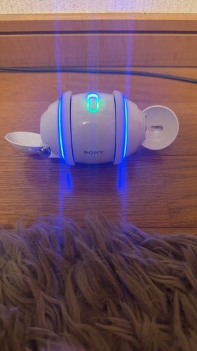 Sony rolly sep 10bt white - sony,