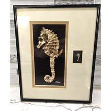 Vintage J Fulton Framed Seahorse Photo Art Real Dried Seahorse Decor 10x8 Signed