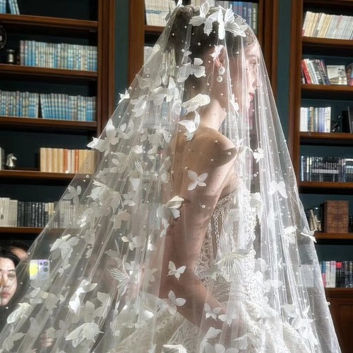 Bride white butterfly - bride,