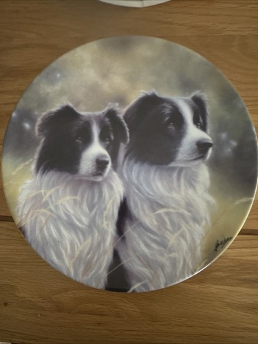 Danbury mint the - border, collie