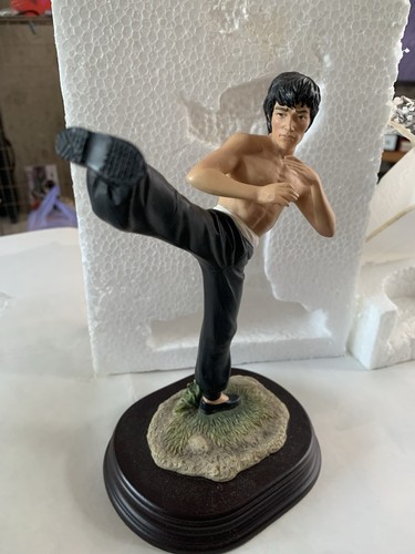 Bruce lee enter - bruce, the