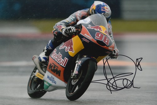 Karel hanika hand - karel, 12x8