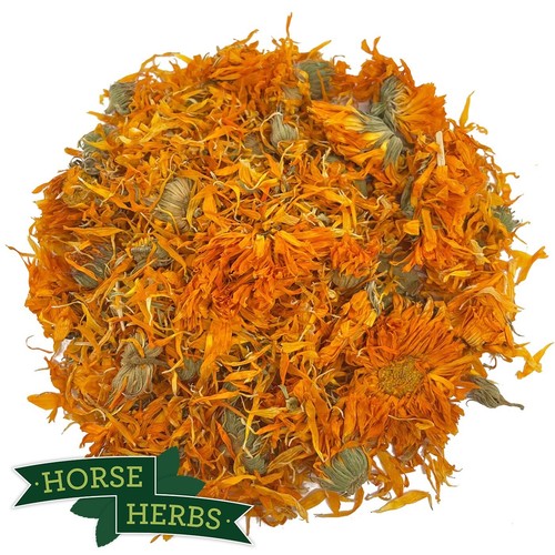 Horse herbs marigold - herbs, flowers