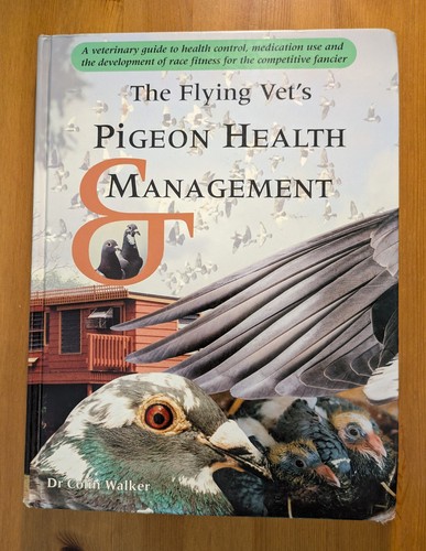 The flying vet pigeon - pigeon, health