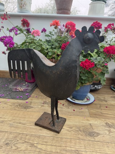 Large rooster chicken - large,