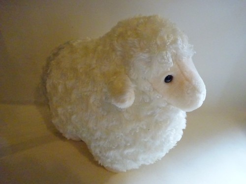 Lamb sheep soft - soft,