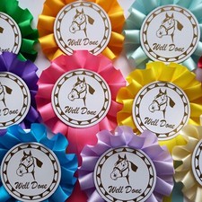 Horse Rosettes x 10 Well Done