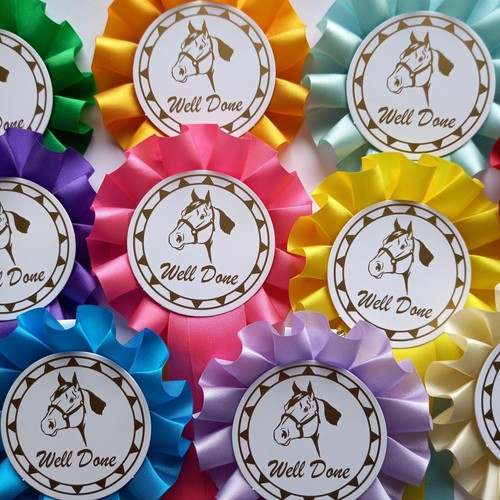 Horse rosettes well done - rosettes, 10