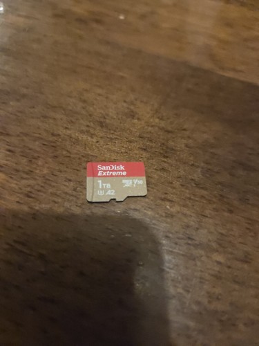Sandisk extreme 1tb class - extreme, 10