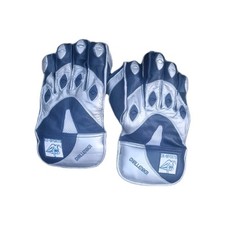 OX Sports Wicket Keeping Gloves( Right- Handed,Youth)