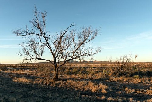 Photo far west texas rural - photo:far,