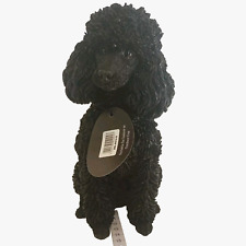 Vivid Arts Black Poodle Dog -