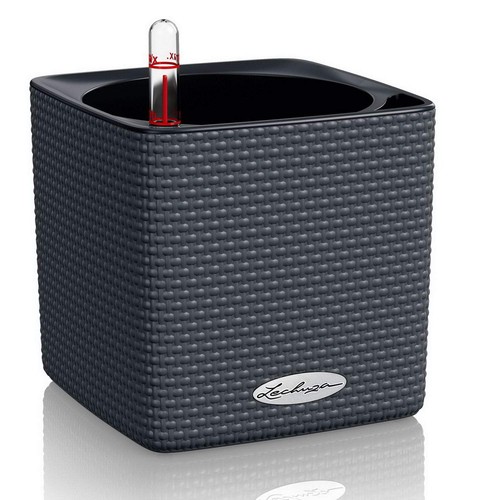 Self watering plant pot - self,