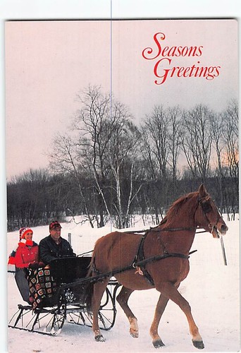 Postcard horse drawn sleigh - horse-drawn,