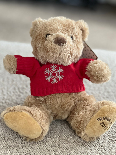 Fraser bear 2016 - bear, plush