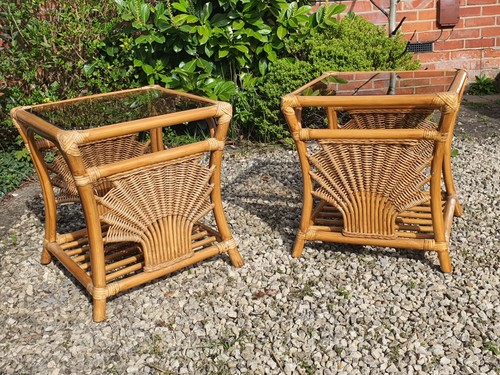 Vintage pair bamboo - pair,