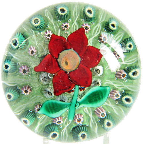 Paperweight - paperweight,