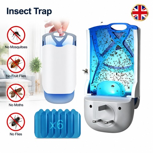 Fruit fly trap - fruit,