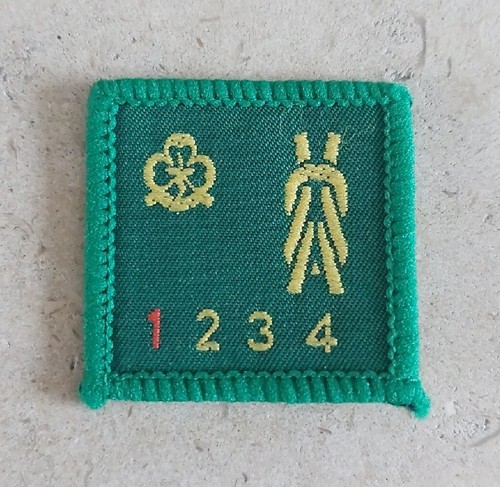 Vintage girl guide - vintage,