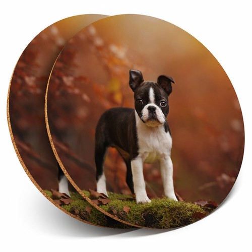 Coasters boston terrier - 2,