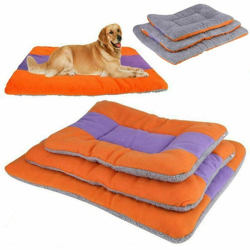 Pet cat dog - pet, bed