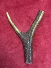 One piece deer - piece, antler,