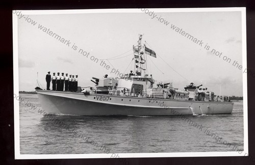 Wl8393 royal navy - royal,