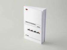 Moto Guzzi V7 II ABS Stone