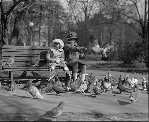 Black and white photo - and, at