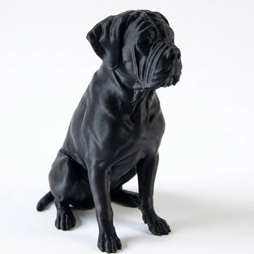 Cane corso dog sculpture - corso,