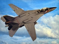 F-14A Tomcat 32" Wingspan RC