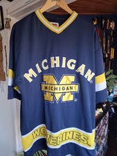 Michigan Wolverines Colosseum