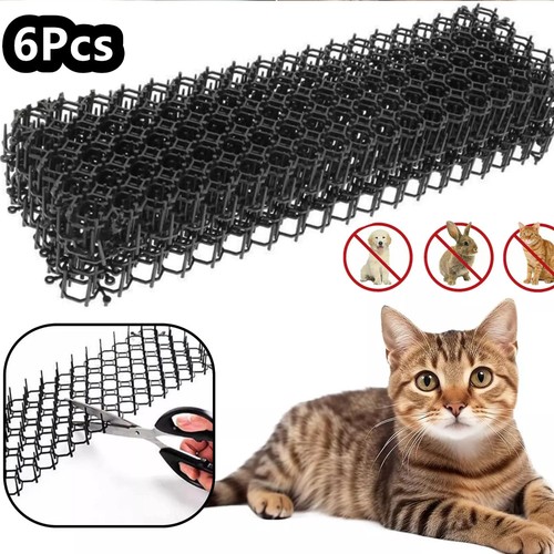 6pcs cat scat - cat, spike