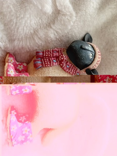 Ewe and toni goffe - toni, border