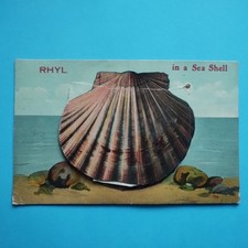 Rhyl in a Sea Shell. Wales