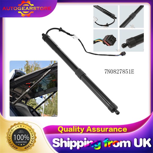 Electric tailgate gas strut - tailgate,