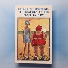 Comic Postcard C1930 Fat Lady