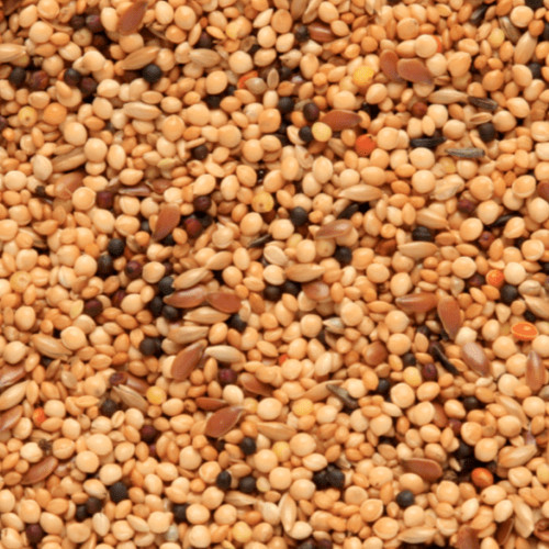 Foreign finch mixture sky - foreign,
