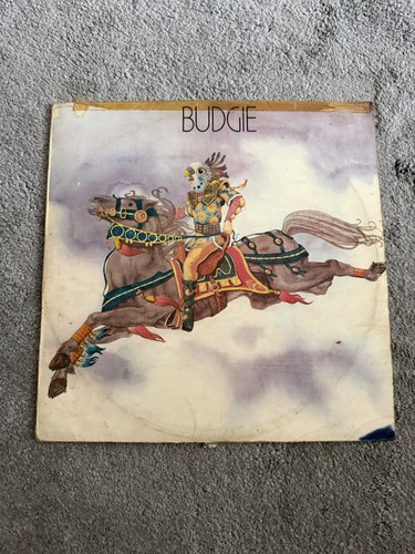 Budgie 1st press red - budgie,