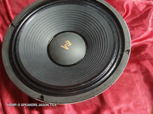 Electro voice 12l - 12l, guitar