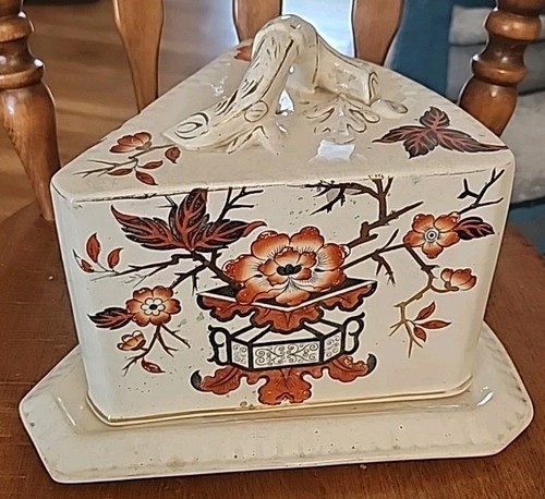 Large floral cheese - large,