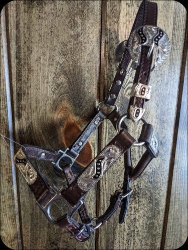 Miniature horse show halter - horse,