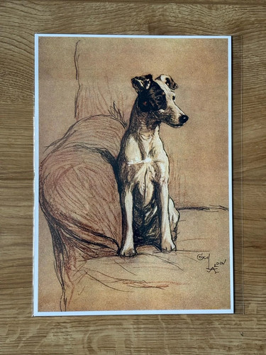 Cecil aldin fox - fox, terrier