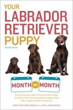 Your Labrador Retriever Puppy