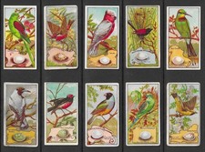 Wills (Capstan) 1911 BIRDS OF