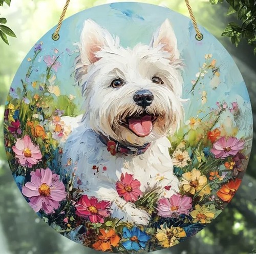 West highland westie - highland,
