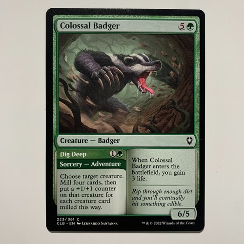 Colossal badger dig - colossal, deep