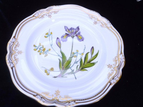 Spode stafford flowers 00 - spode, 11.00