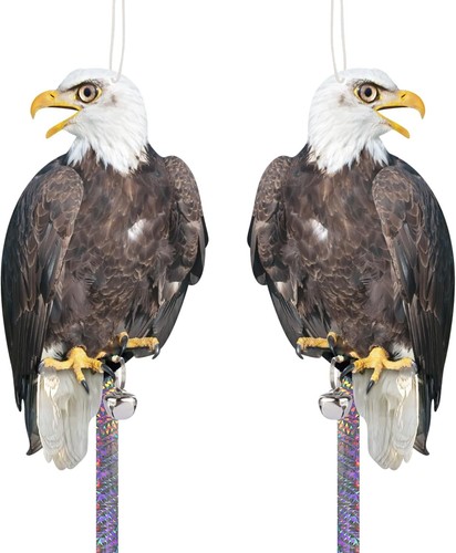 2pcs hawk bird scarer - 2pcs,