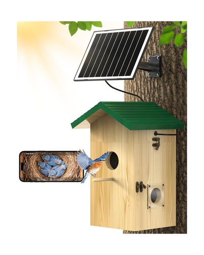 Kinetcam bird house - house, with